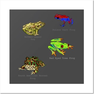 Frogs Posters and Art